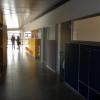 CAIF