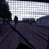 Ferroviaria